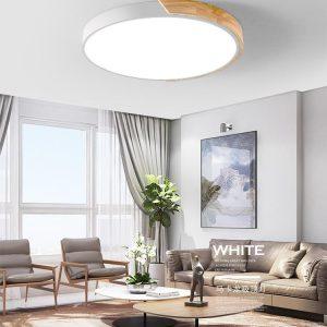 Zolooy Ceiling Light: A Comprehensive Design and Functional Analysis
