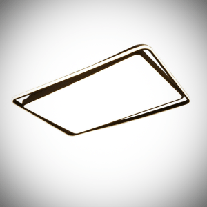 Remote Control Dimmable Ceiling Light Indoor