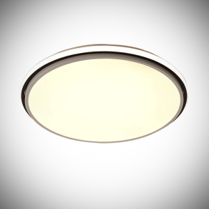 Nordic Modern Simple LED Ceiling Lamp