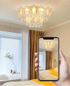 French Ring Crystal Ceiling Lamp