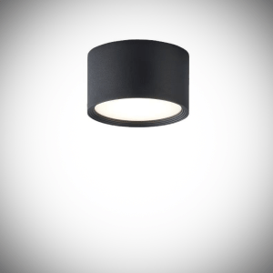 Intelligent Surface Mounted Downlight