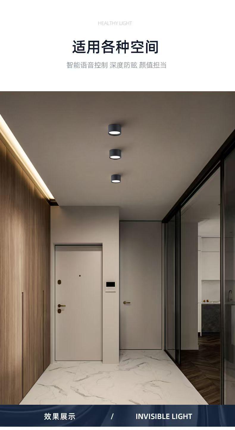 Intelligent Surface Mounted Downlight