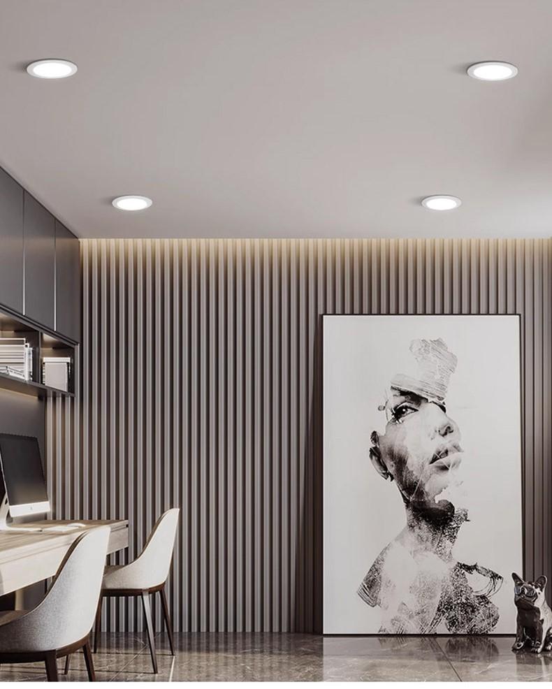 Recessed LED Downlight